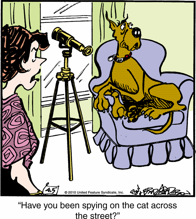 marmaduke